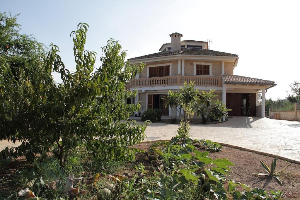 Villa President Cosmos Playa de Muro  Zewnętrze zdjęcie